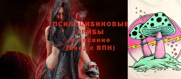 мдма Гвардейск