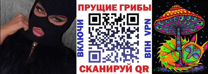 ОМГ ОМГ ONION  где можно купить   дарк нет Telegram  Псилоцибиновые грибы MAGIC MUSHROOMS  Зеленогорск 
